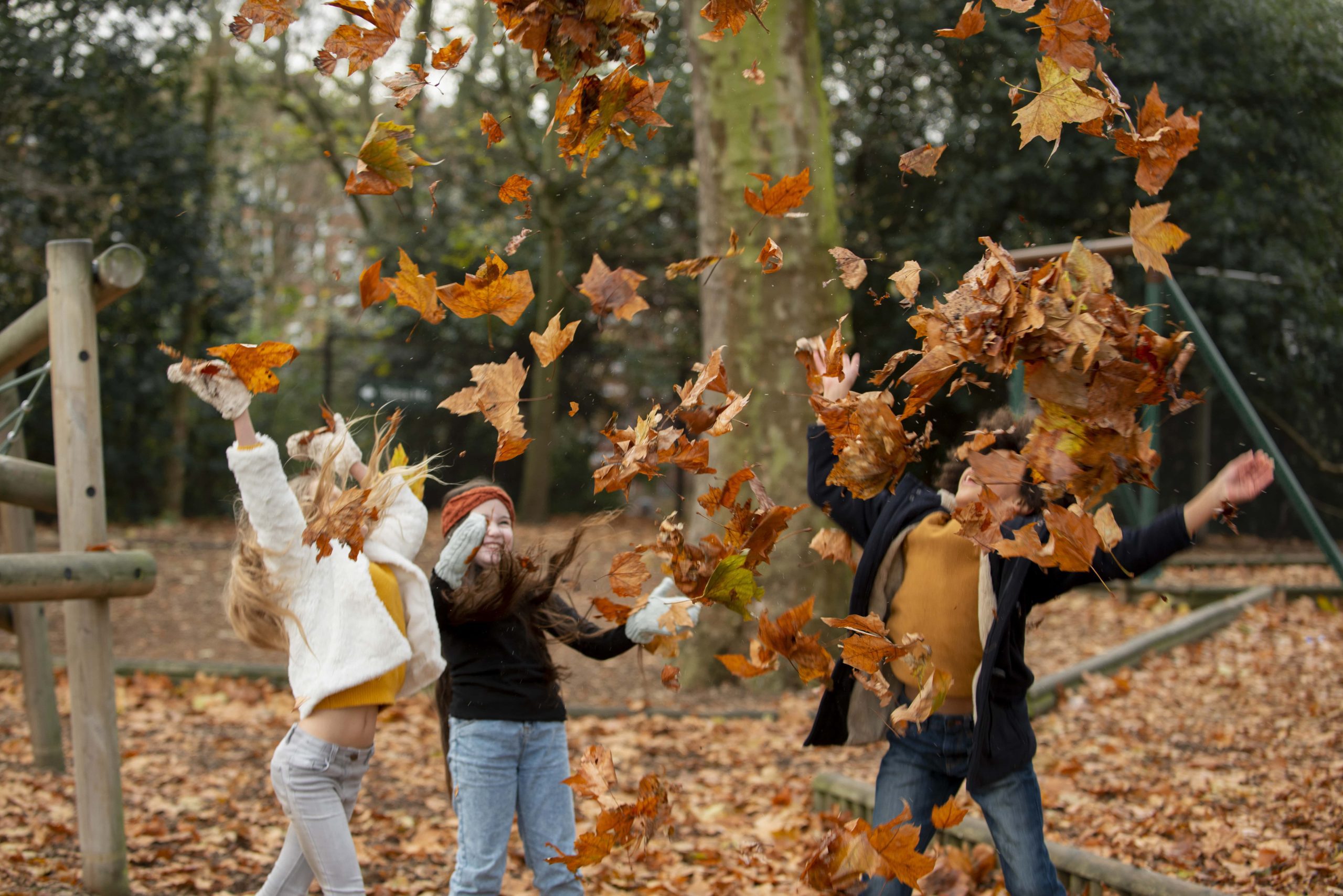 Activités automne entre amis