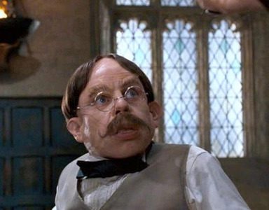 Quel professeur enseigne les Potions au début de la saga Harry Potter ? 🧪