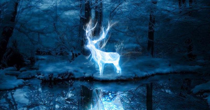 Quel est le Patronus de Hermione Granger ? 👻