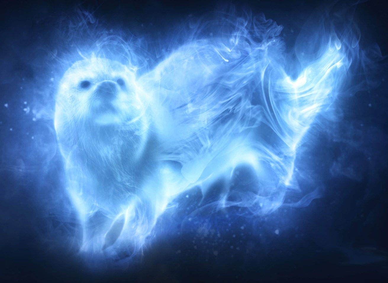 Quel est le Patronus de Hermione Granger ? 👻